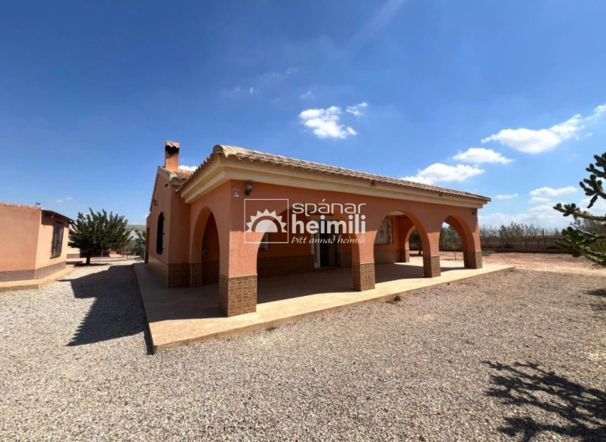 Resale - Finca style house -
Balsapintada - balsapintada