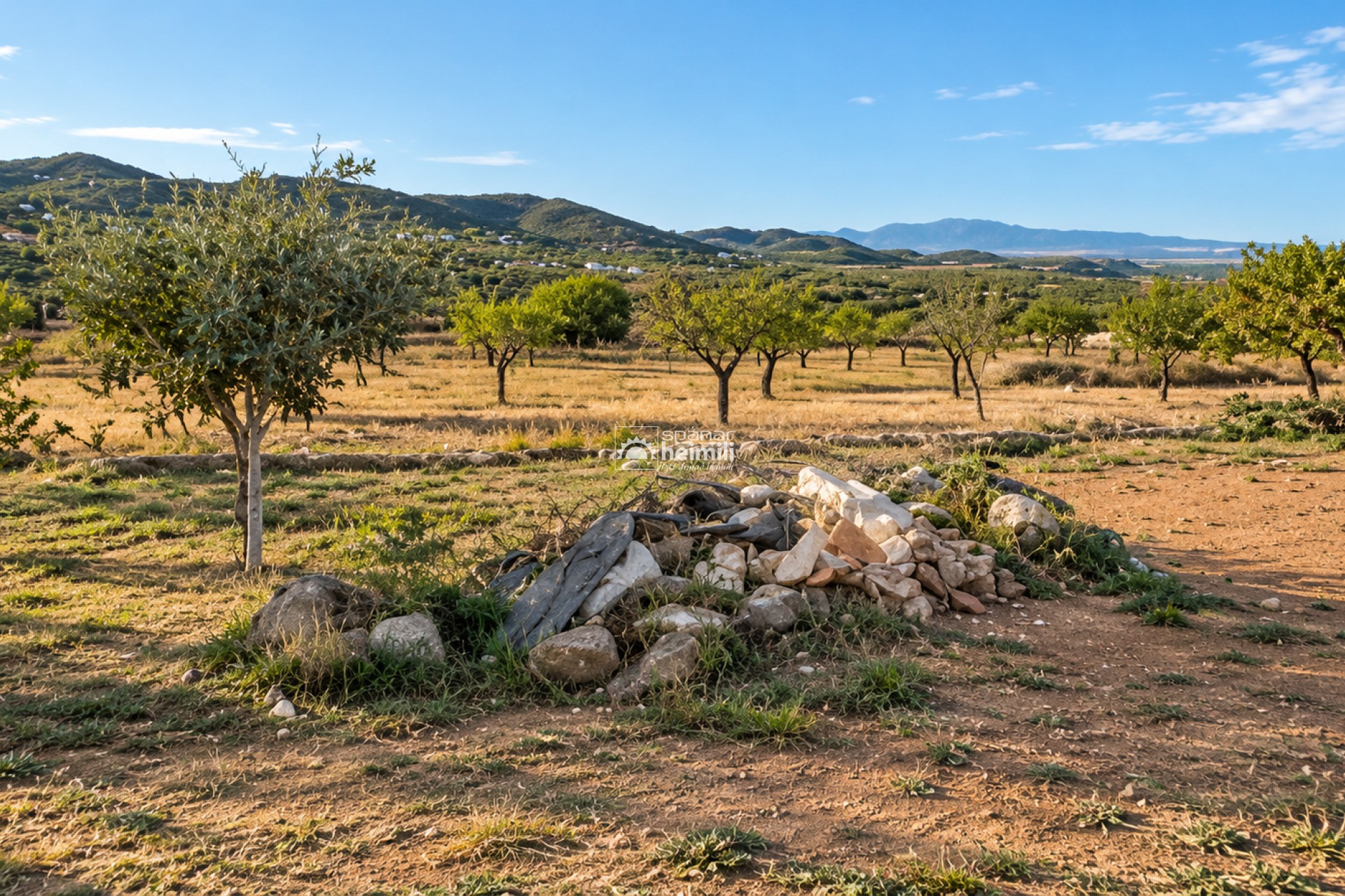 Resale - finca -
Tallante