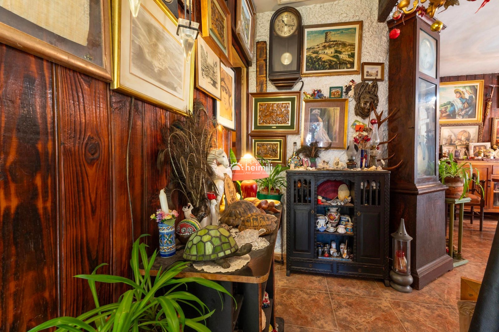 Resale - Villa -
Cabo Roig