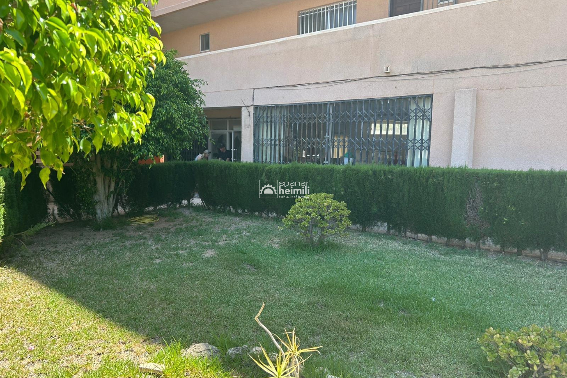 Reventa - Apartamento -
La Zenia