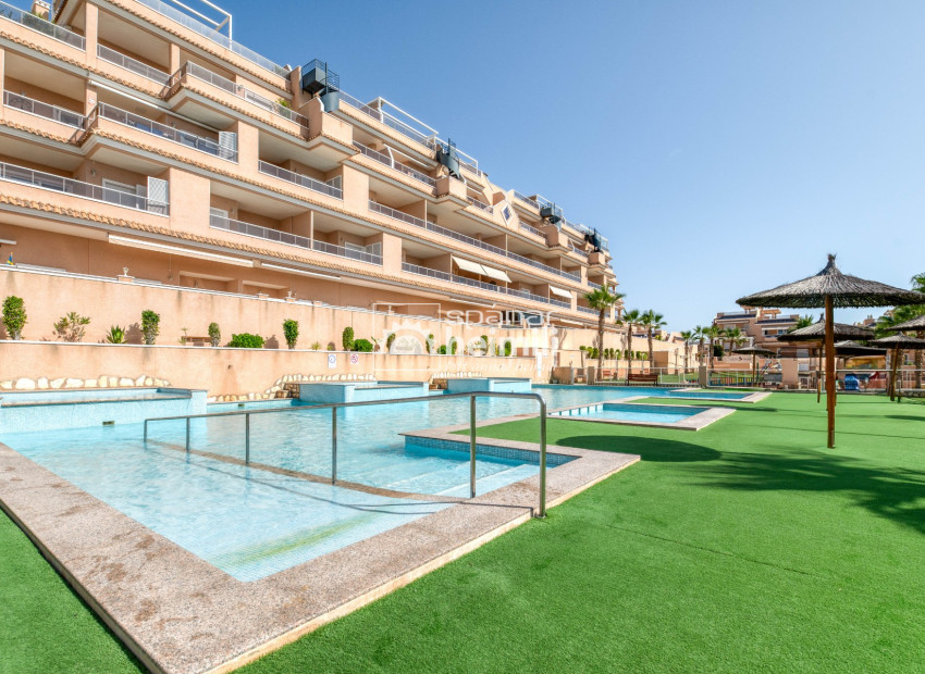 Reventa - Apartamento -
Punta Prima