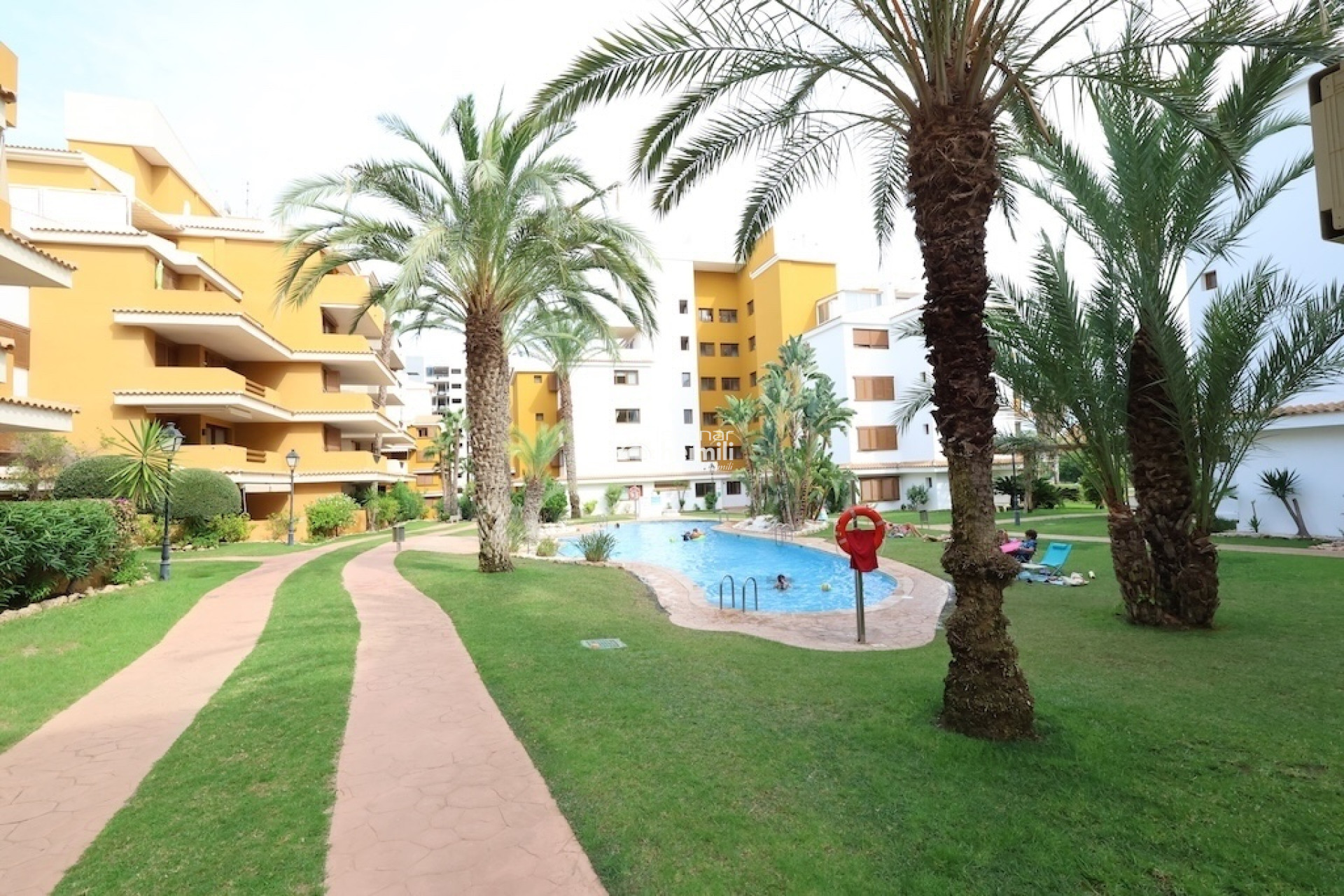 Reventa - Apartamento -
Punta Prima
