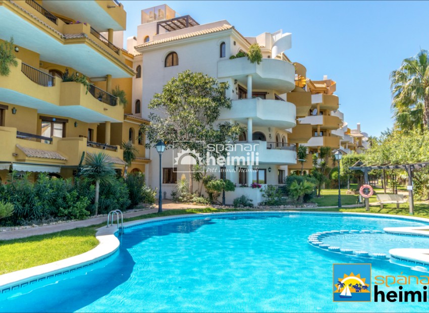 Reventa - Apartamento -
Punta Prima