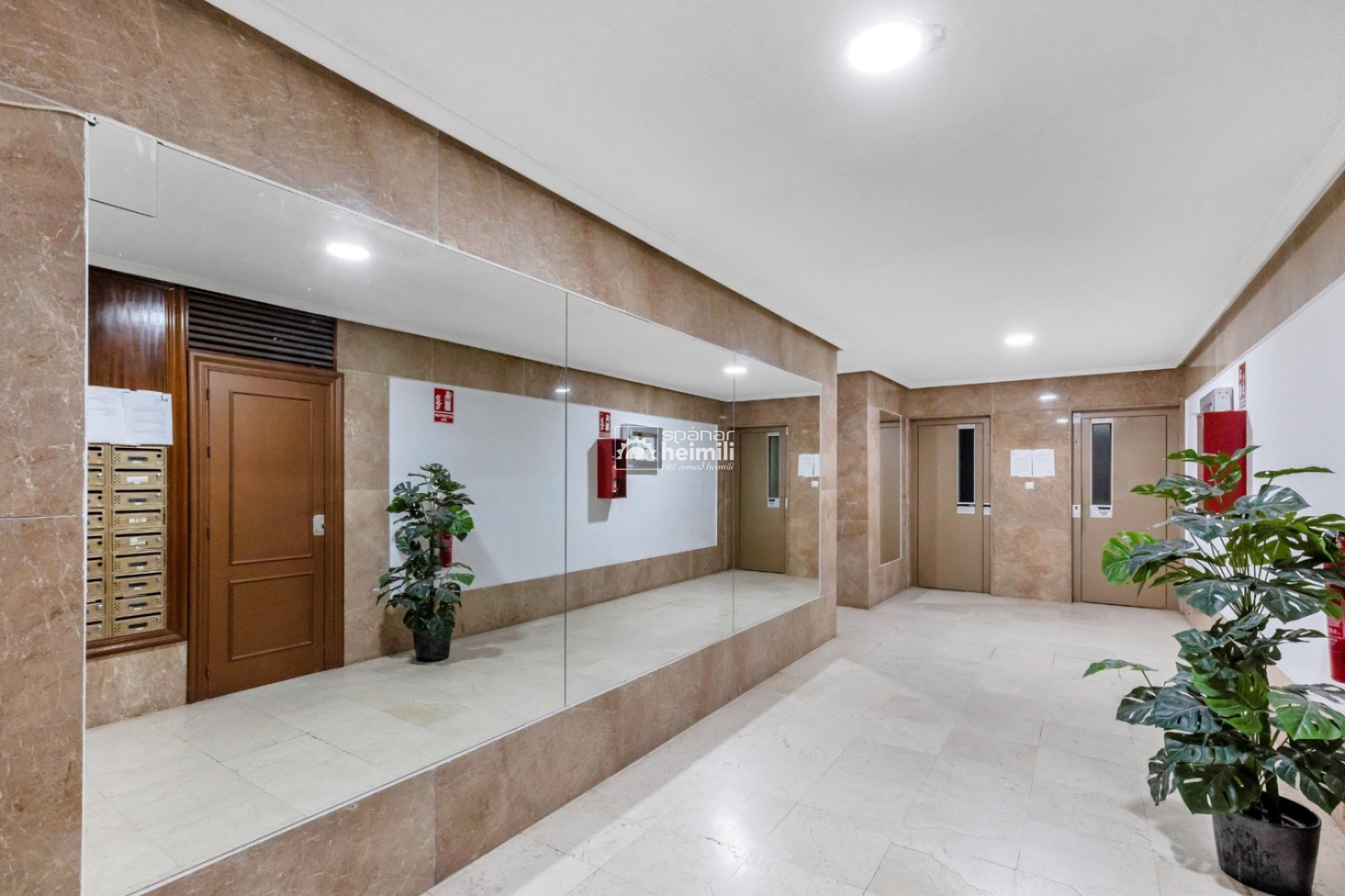 Reventa - Apartamento -
Torrevieja