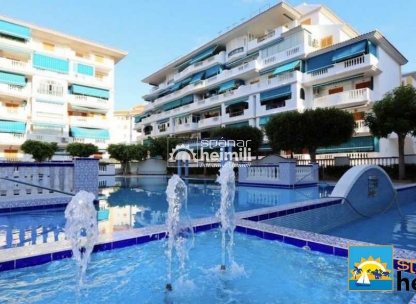 Reventa - Apartamento -
Torrevieja