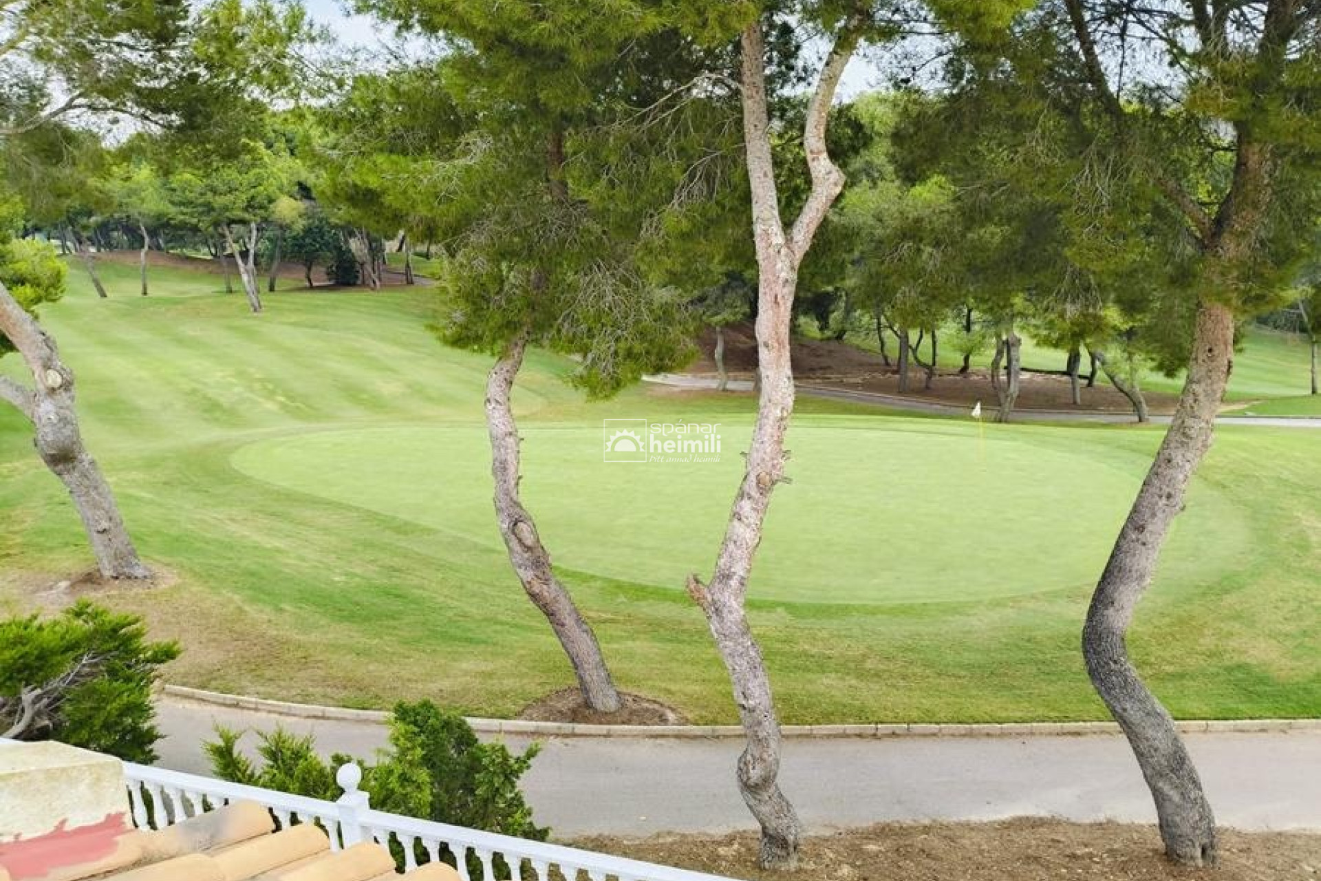 Reventa -  -
Campoamor/Las Ramblas