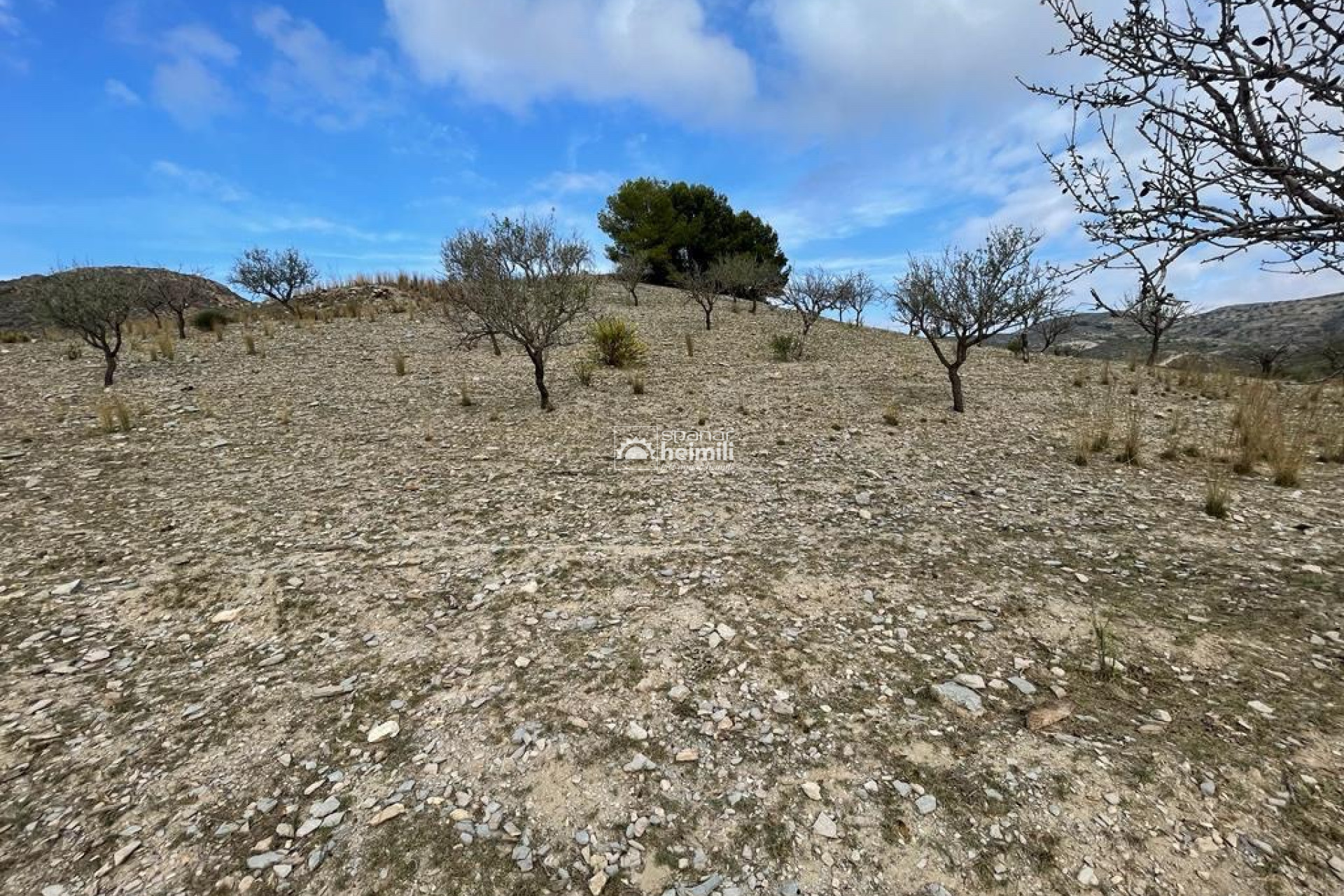 Reventa - Casa estilo finca -
Cartagena