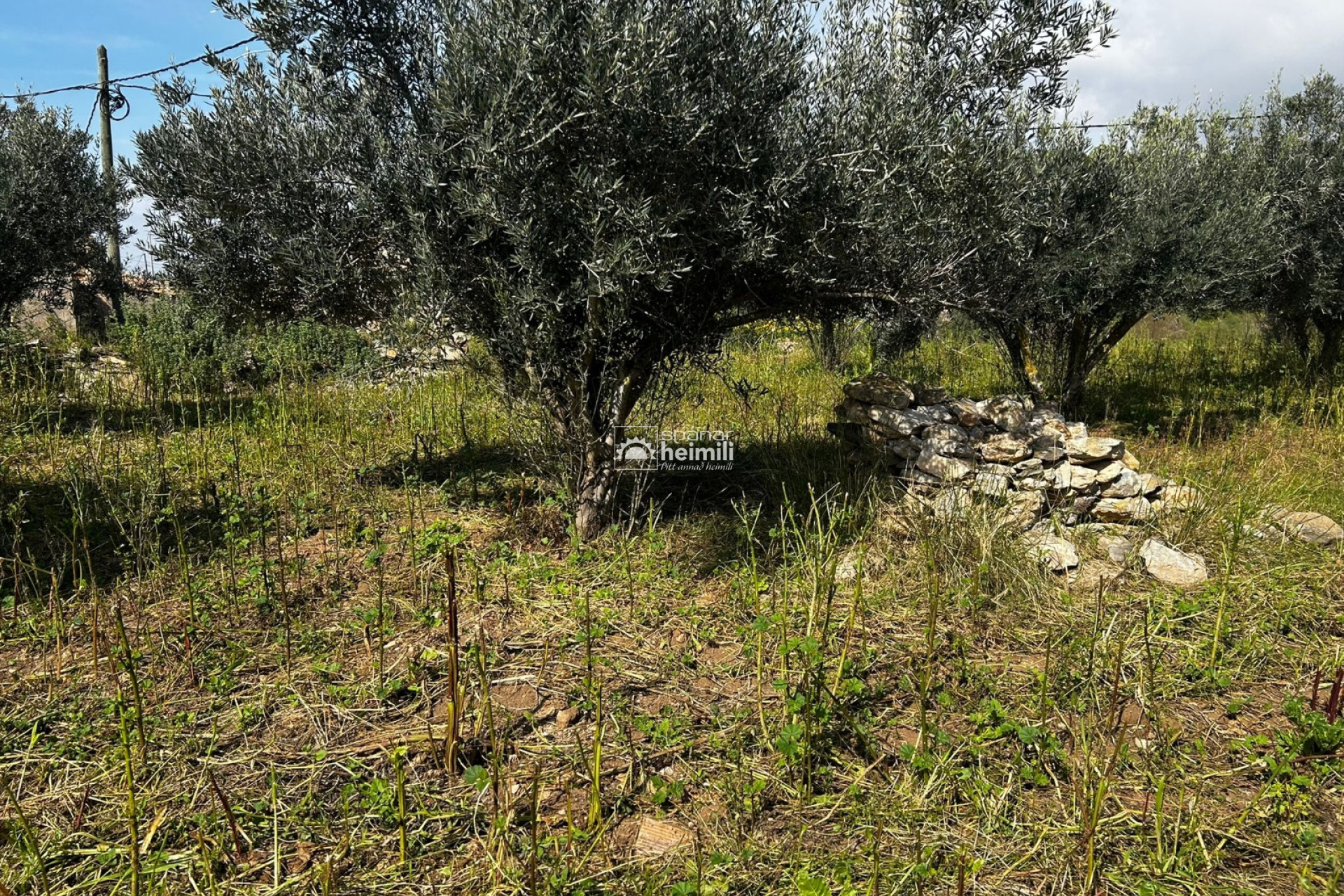 Reventa - Casa estilo finca -
Cartagena