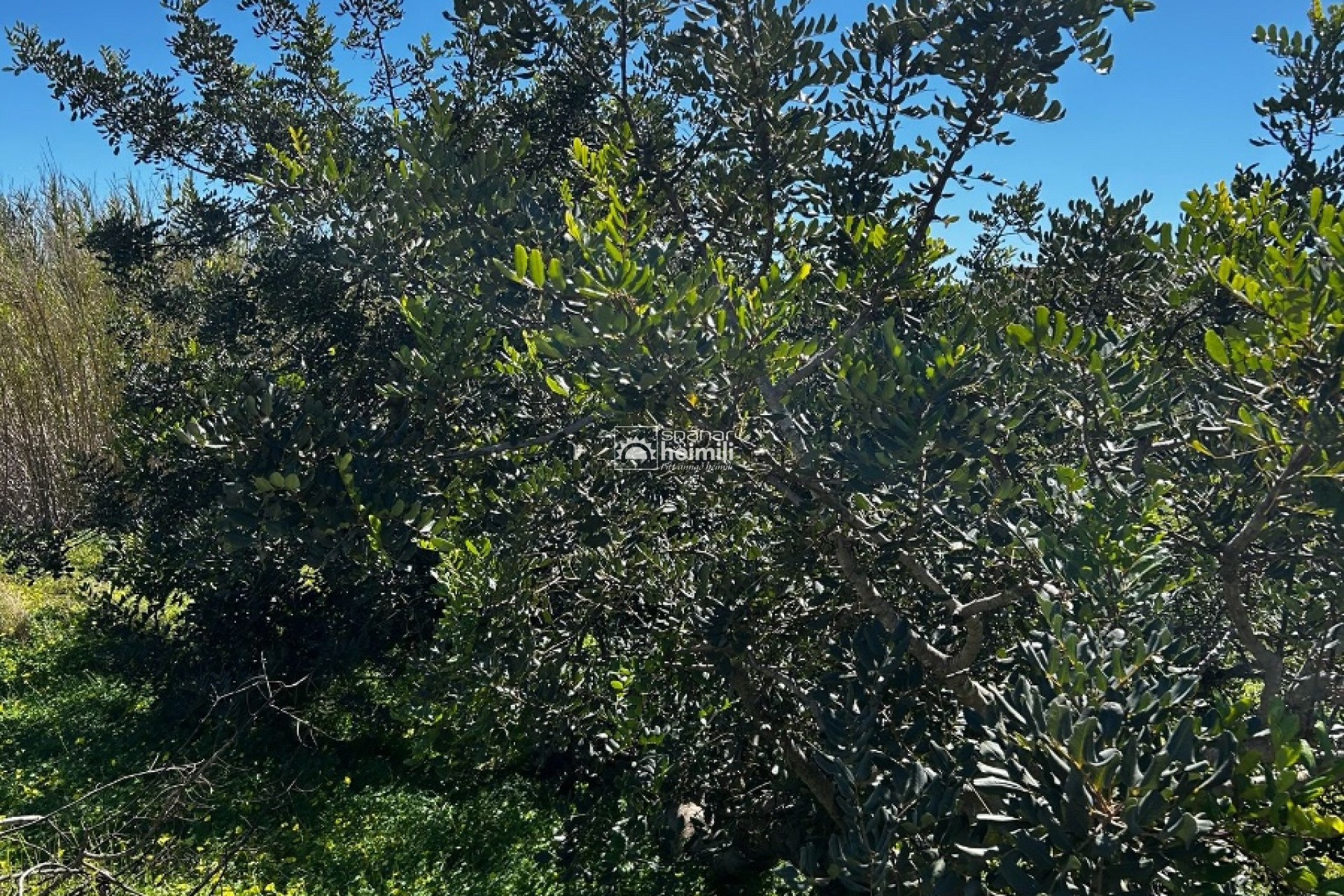 Reventa - Casa estilo finca -
Cartagena