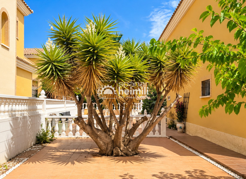 Reventa - Villa -
Algorfa/Los Montesinos