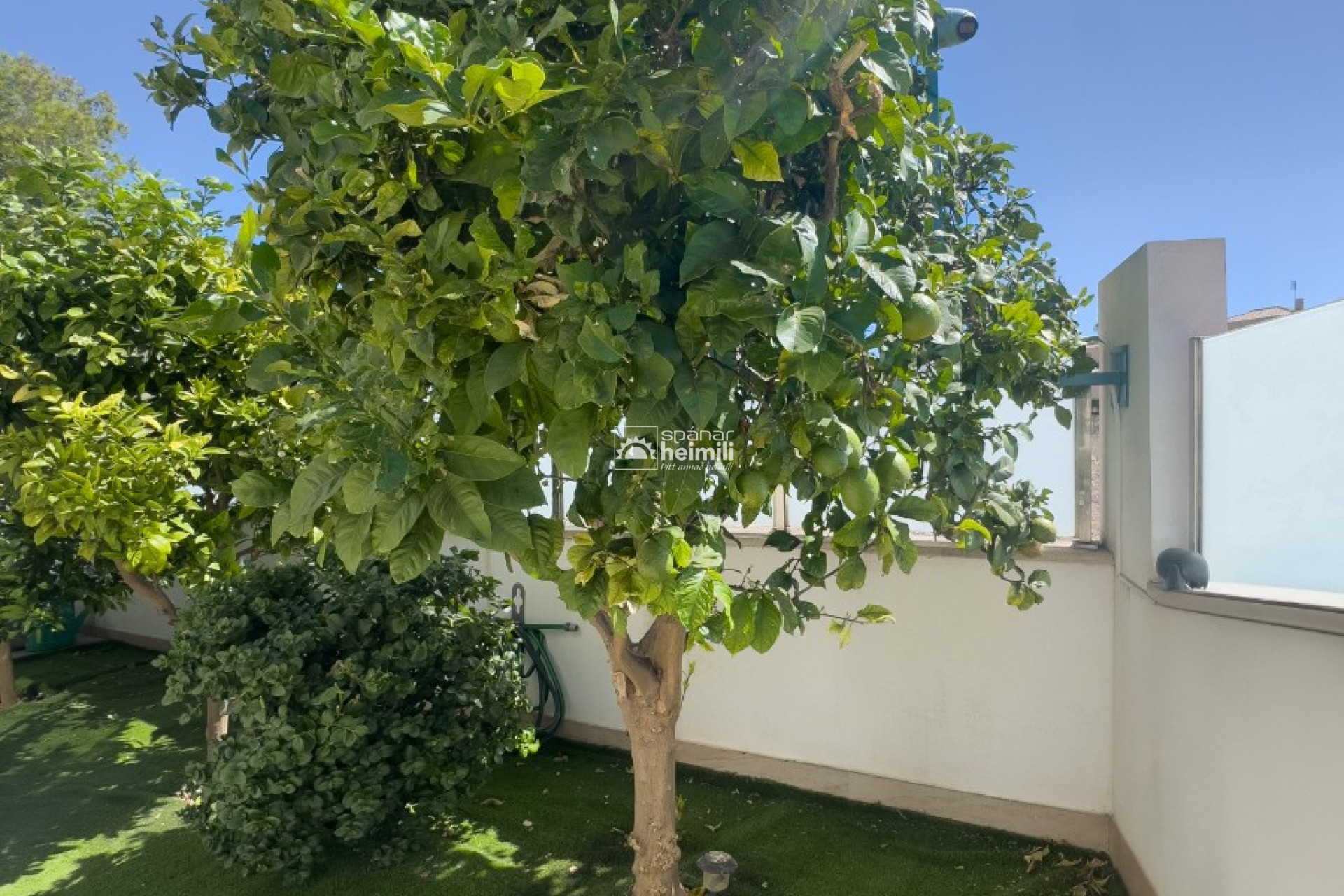 Reventa - Villa -
Villamartin