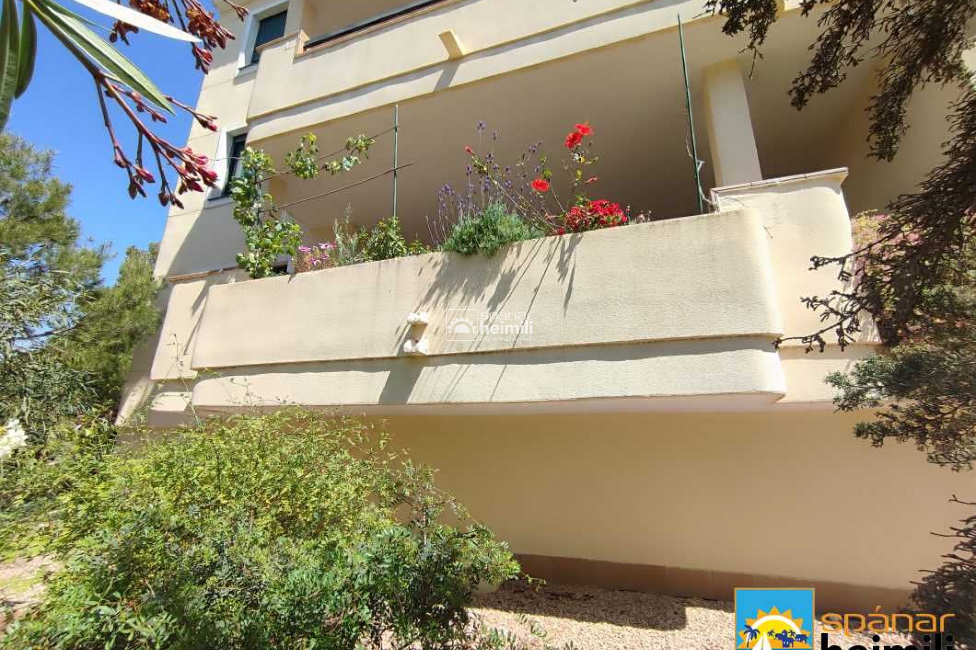 Revente - Appartement -
Cabo Roig