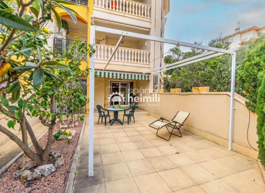 Revente - Appartement -
Campoamor/Las Ramblas