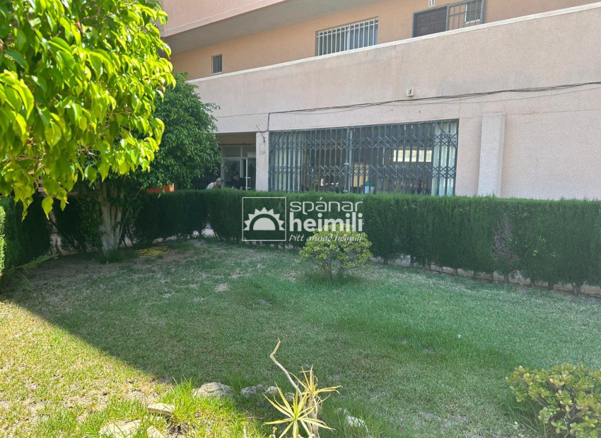 Revente - Appartement -
La Zenia