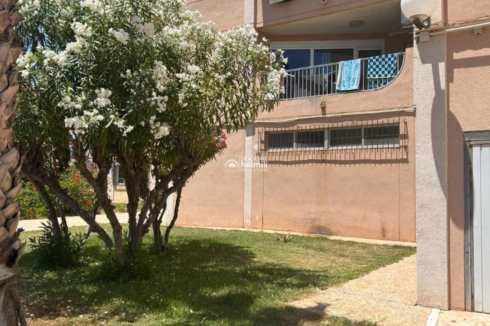 Revente - Appartement -
La Zenia