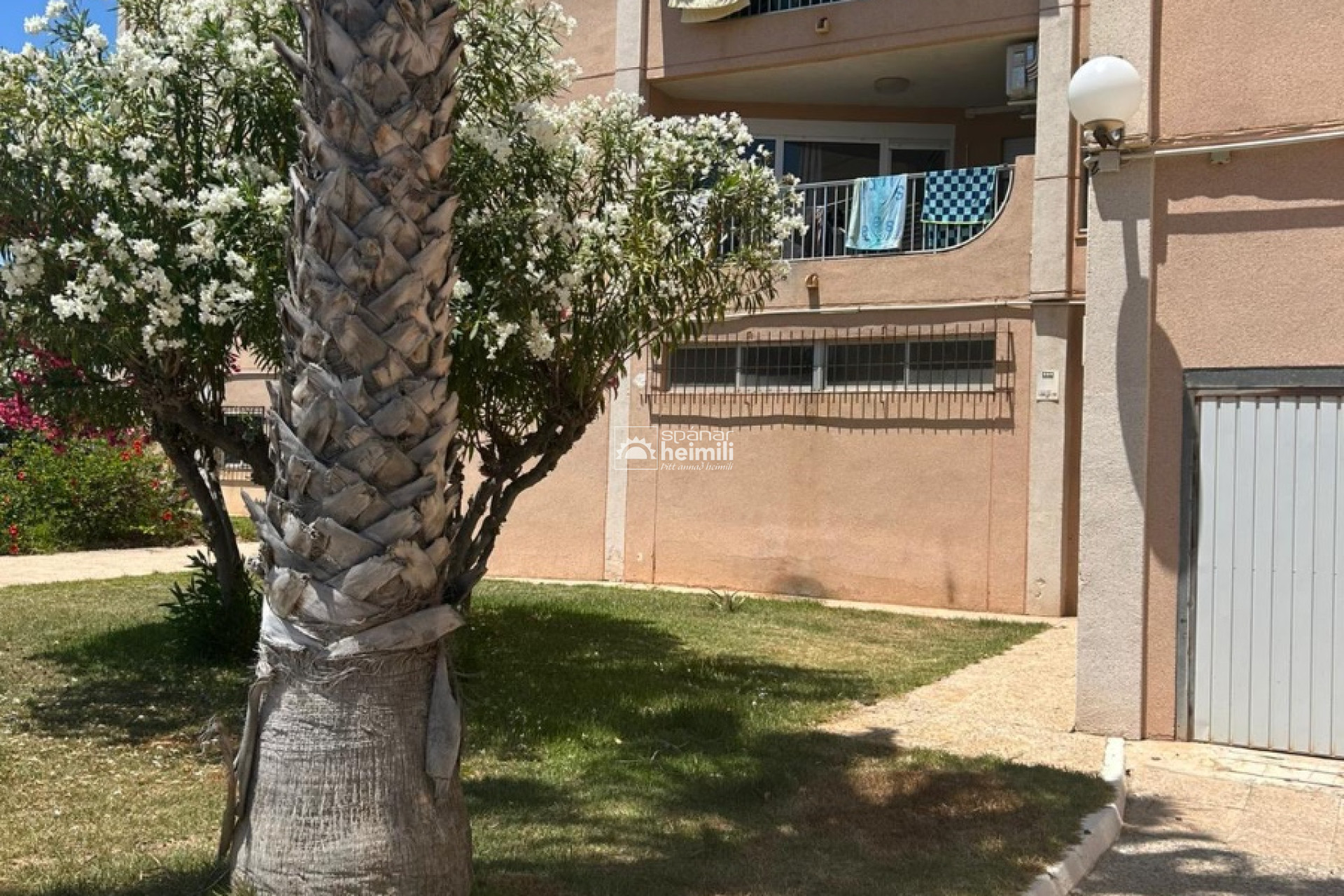 Revente - Appartement -
La Zenia