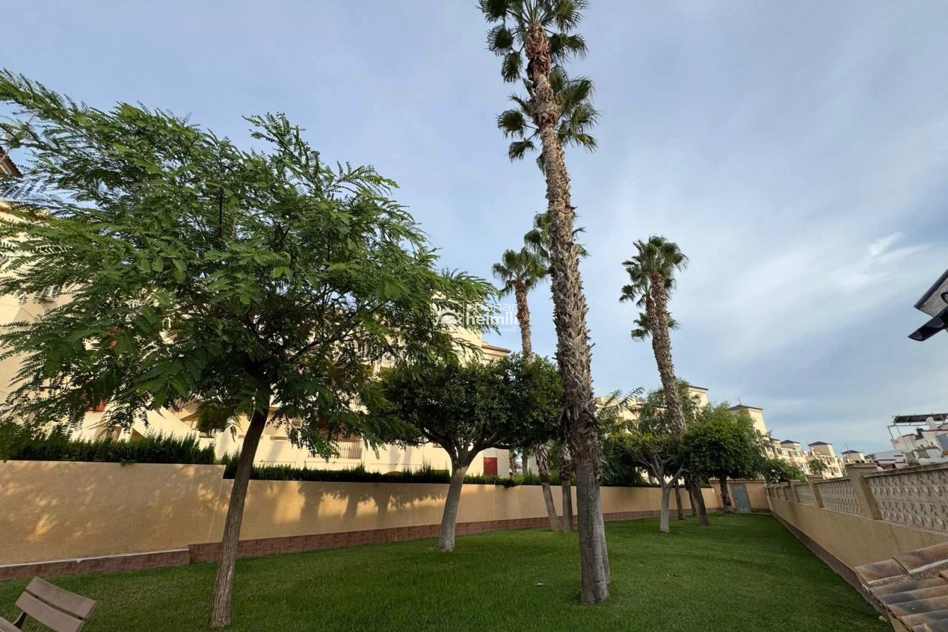 Revente - Appartement -
La Zenia