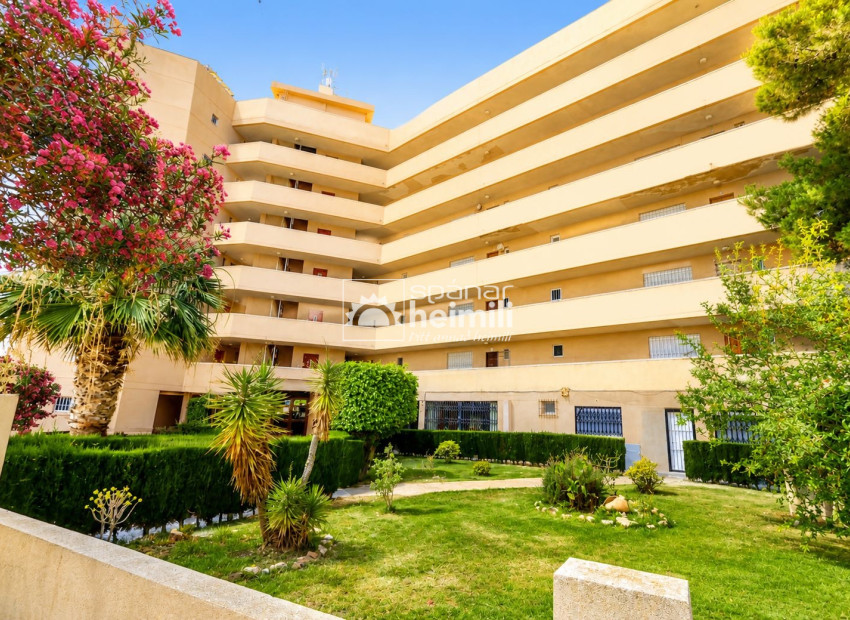 Revente - Appartement -
Orihuela Costa - La Zenia