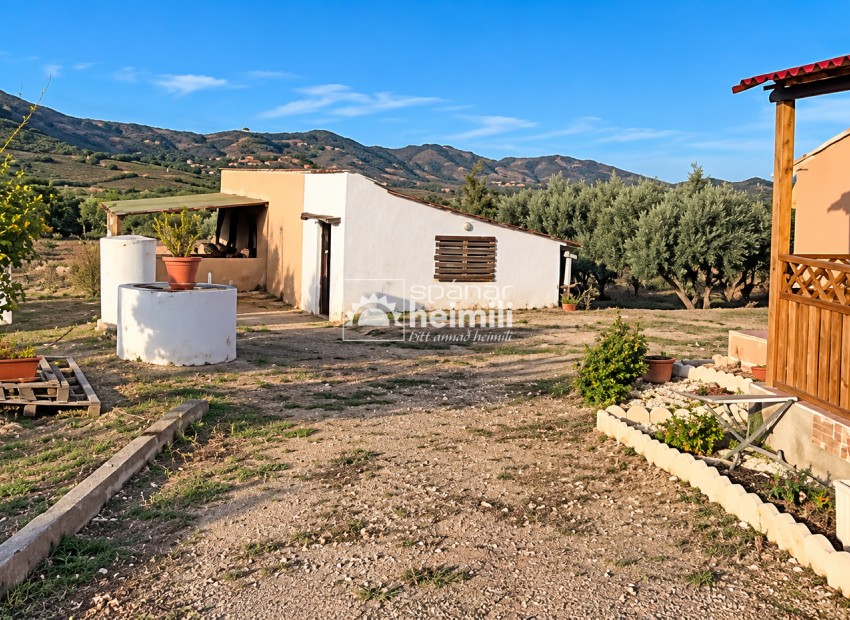 Revente - finca -
Tallante