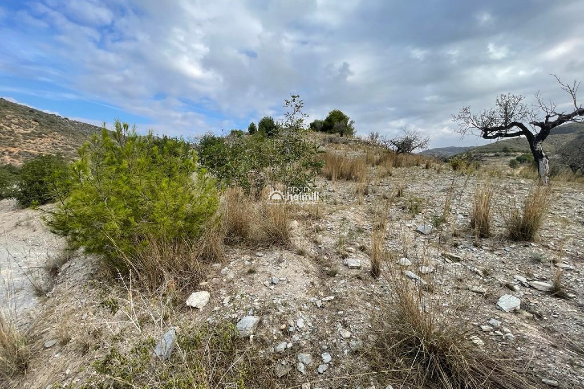 Revente - Maison de style finca -
Cartagena