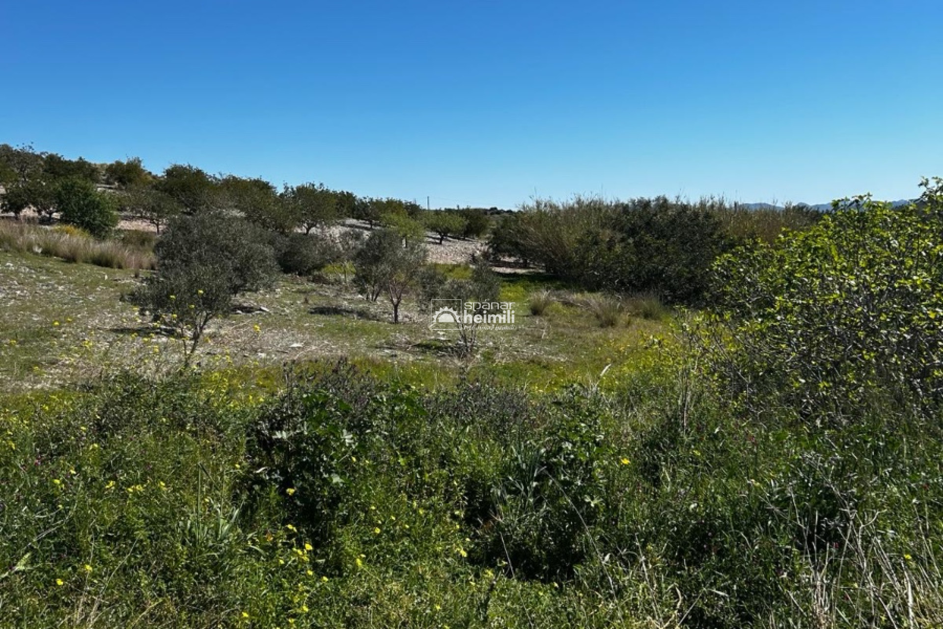 Revente - Maison de style finca -
Cartagena