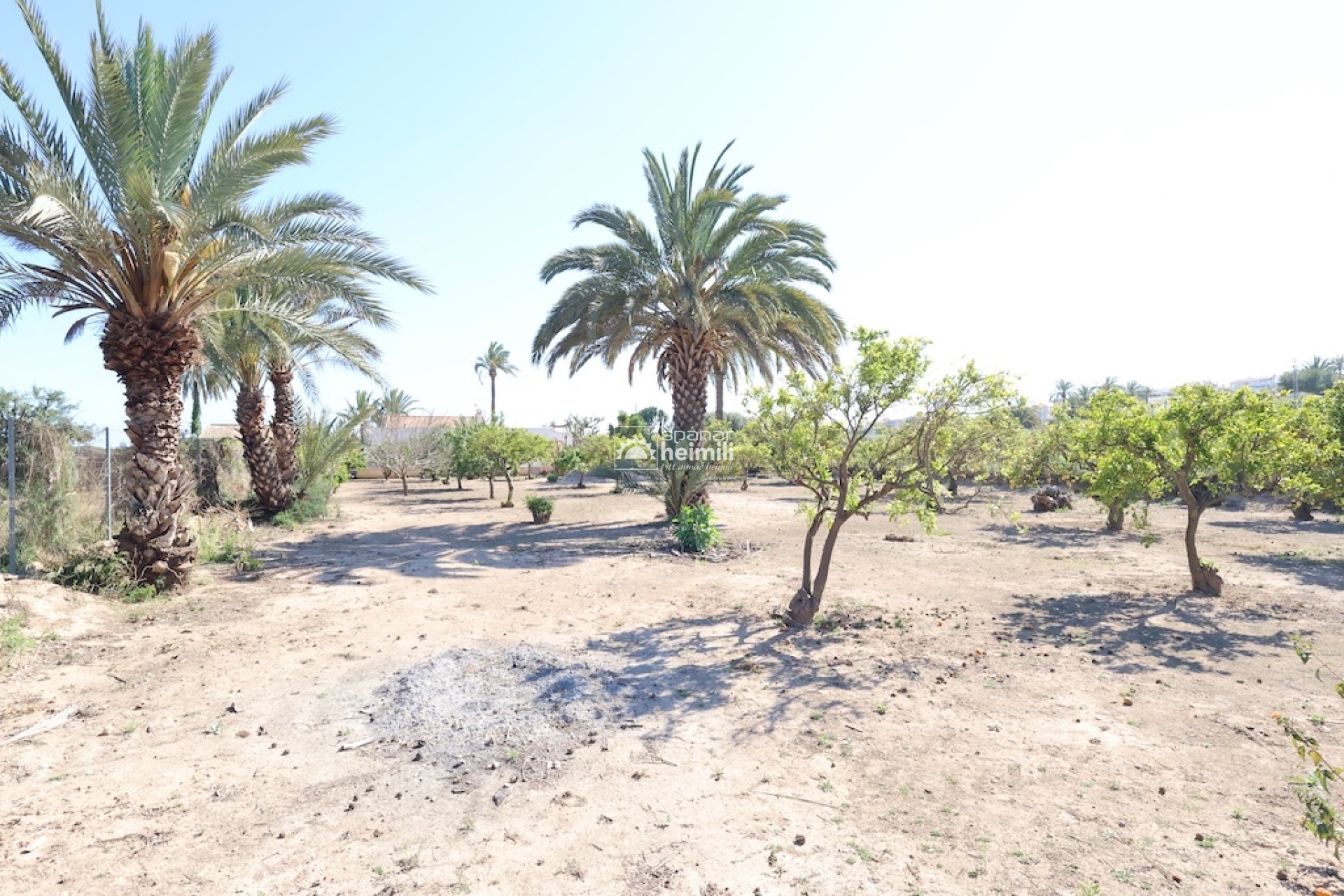 Revente - Villa -
Guardamar/La Marina