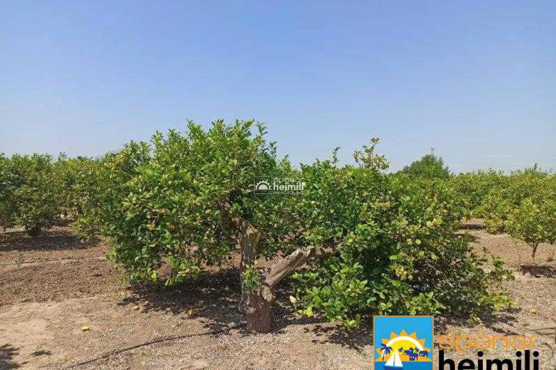 Revente - Villa -
San Miguel