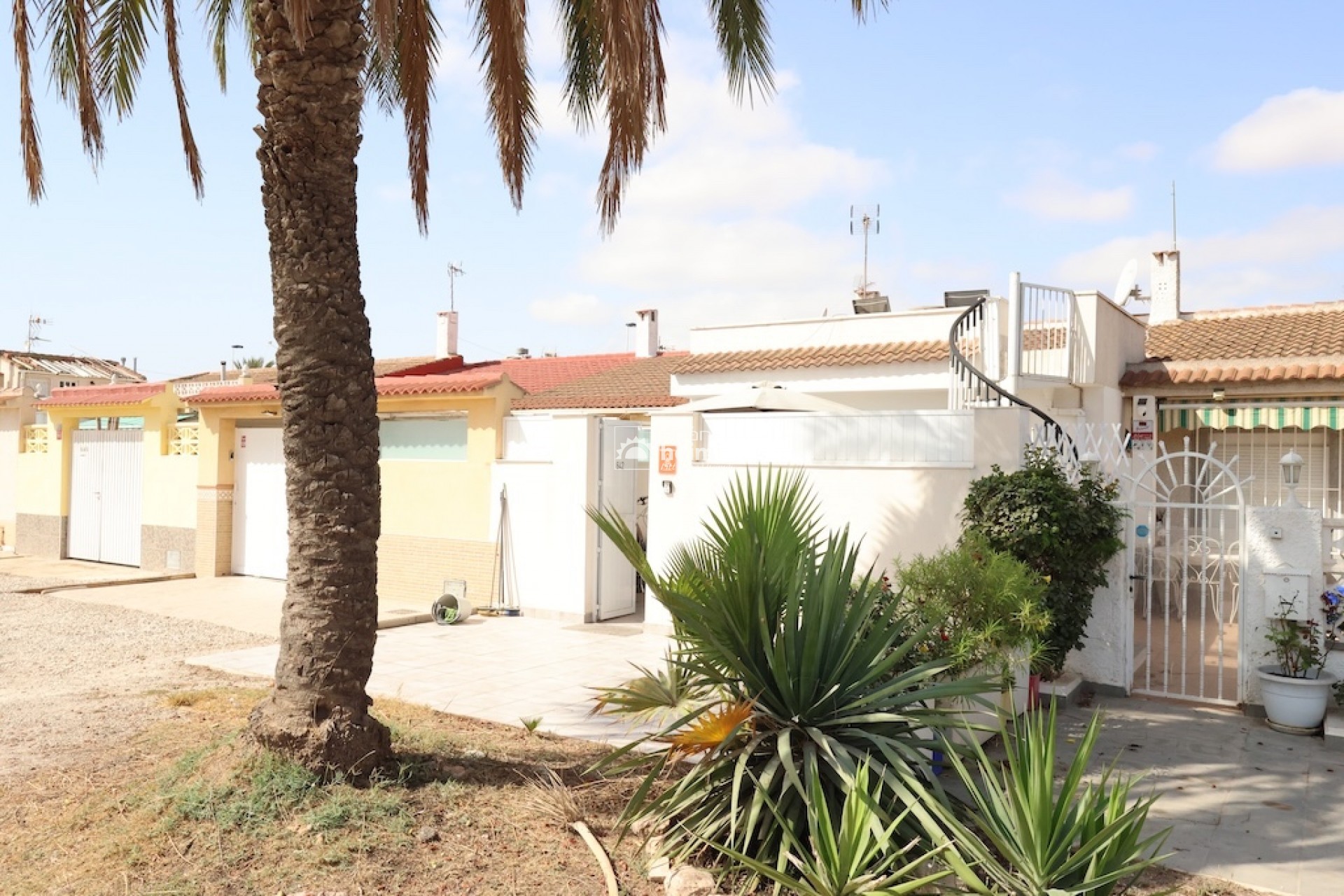 Videresalg - Bungalow -
Torrevieja