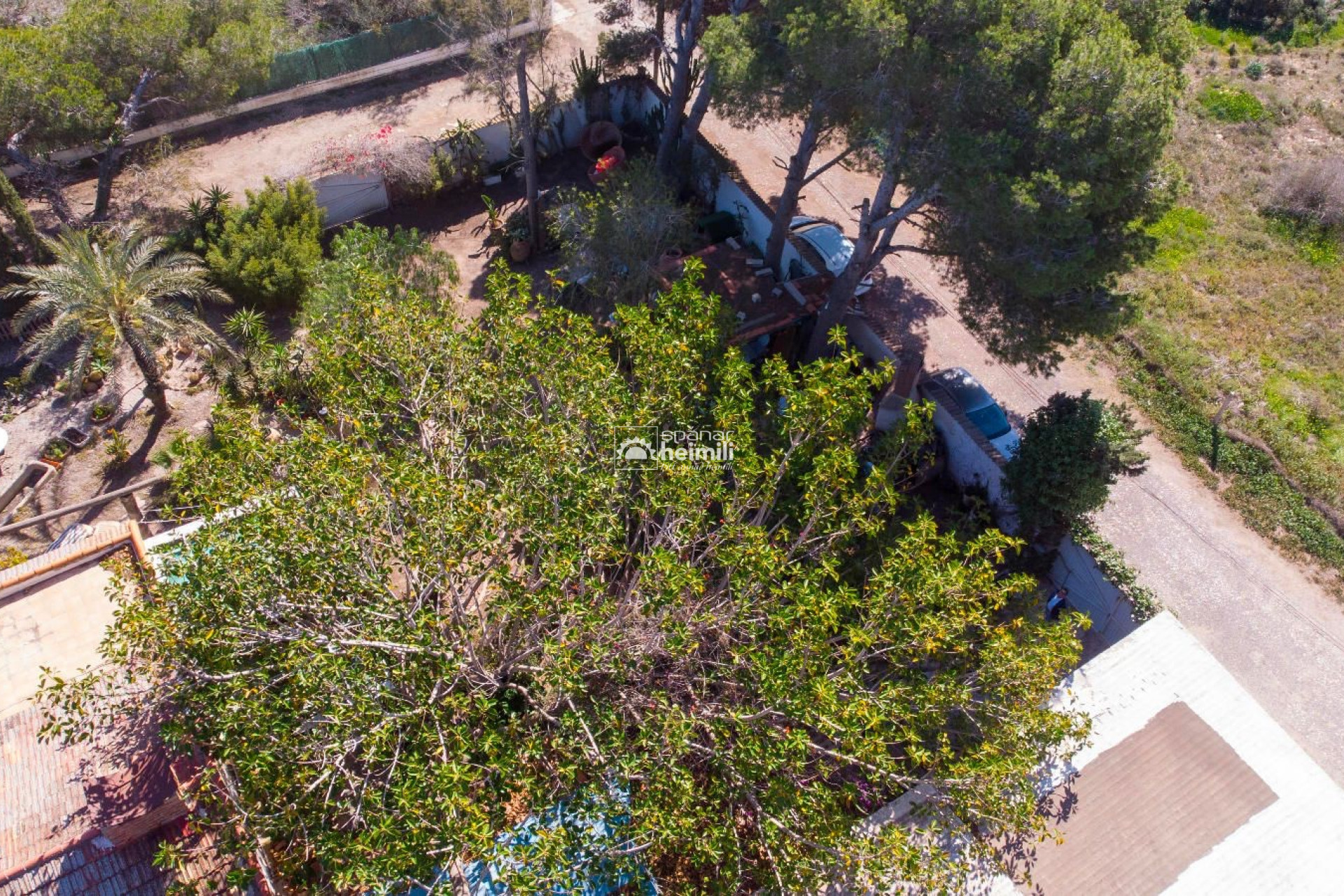 Videresalg -  -
Cabo Roig