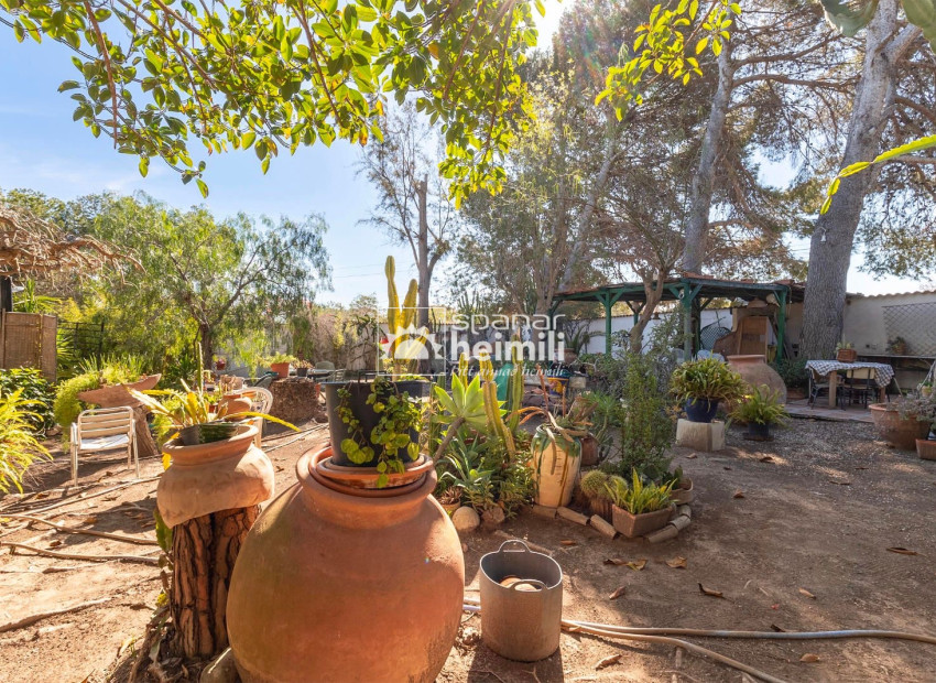 Videresalg -  -
Cabo Roig