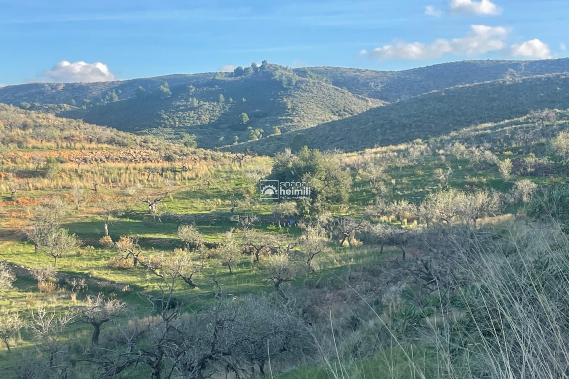 Videresalg - Finca-stil hus -
Cartagena