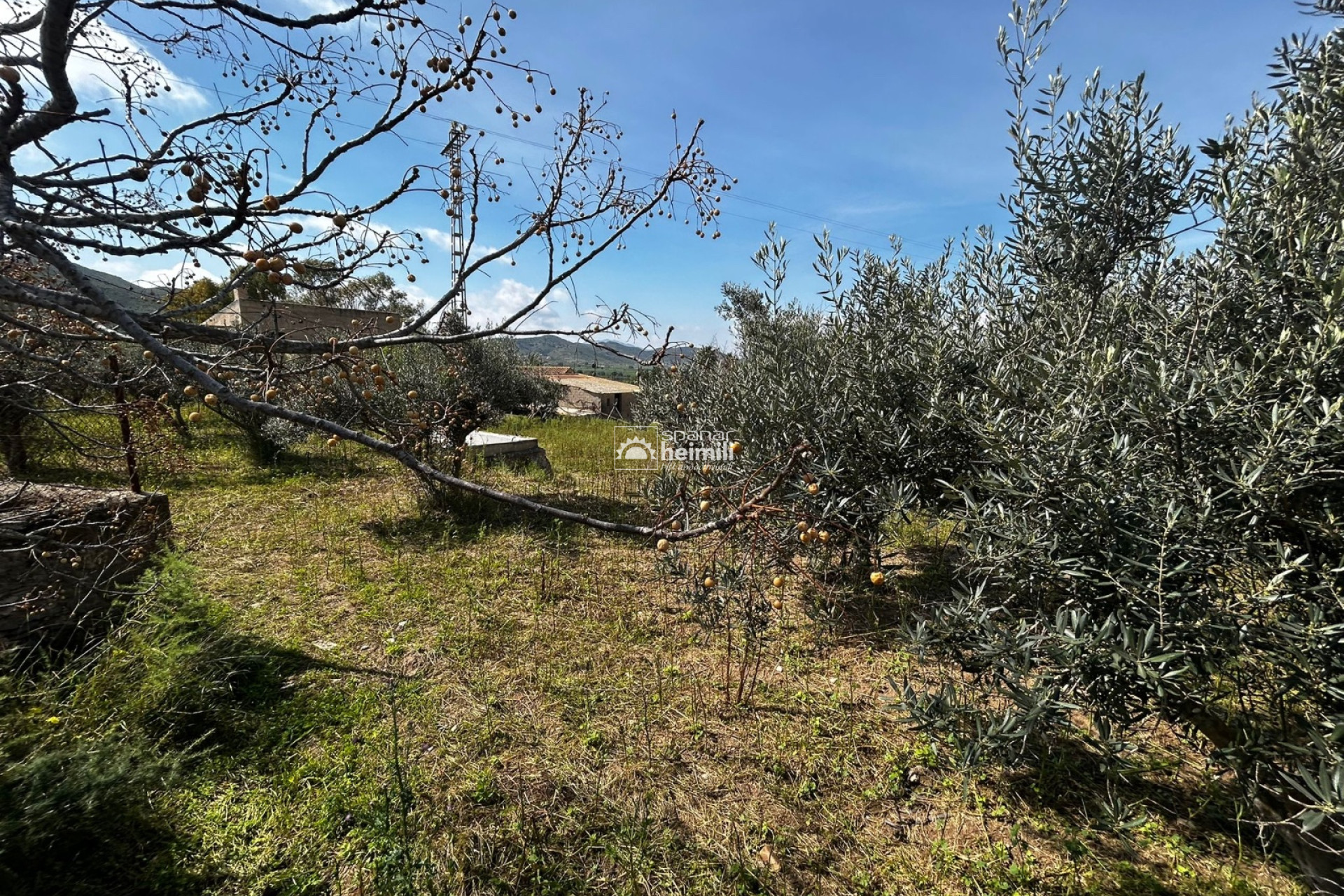 Videresalg - Finca-stil hus -
Cartagena