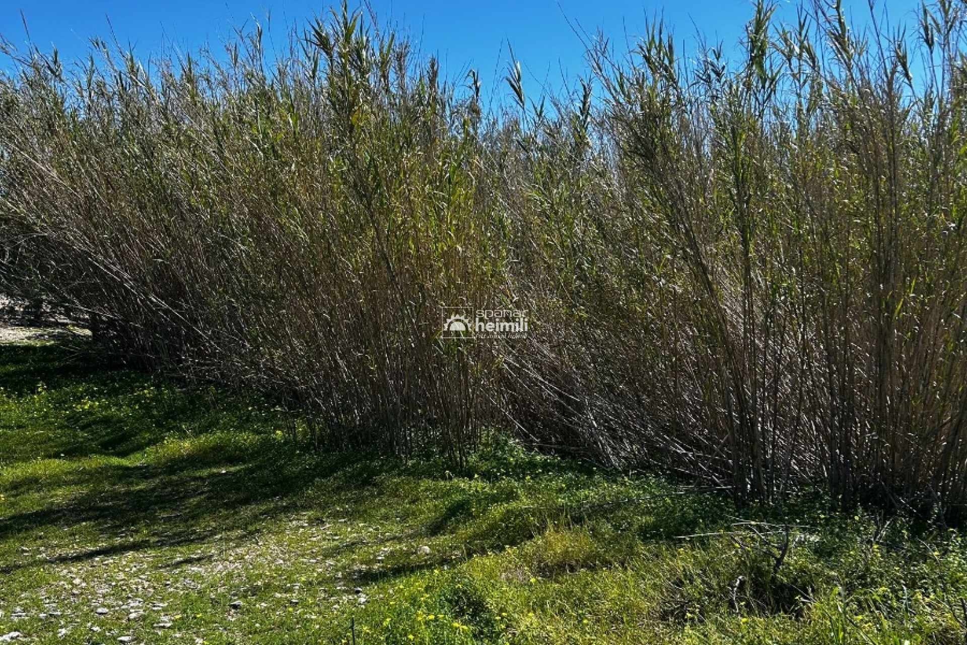 Videresalg - Finca-stil hus -
Cartagena