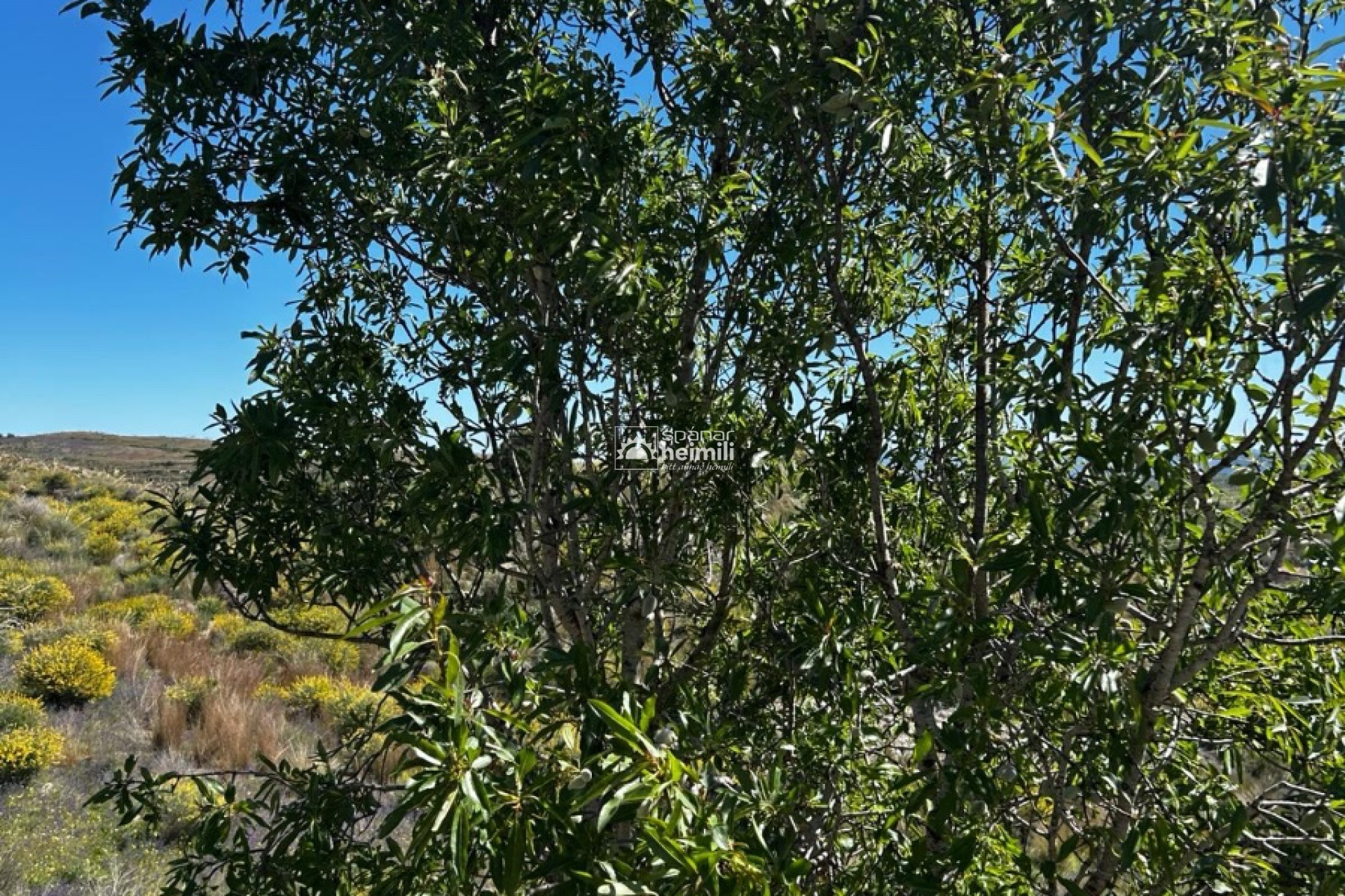 Videresalg - Finca-stil hus -
Cartagena