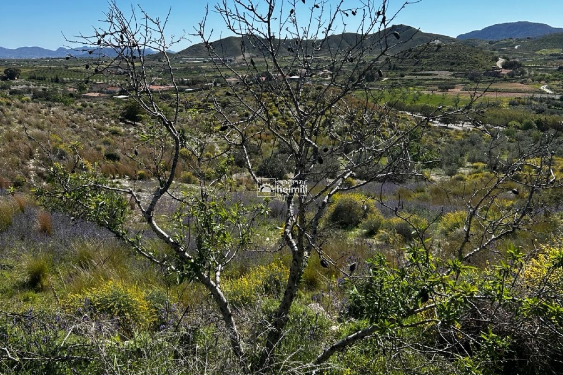 Videresalg - Finca-stil hus -
Cartagena