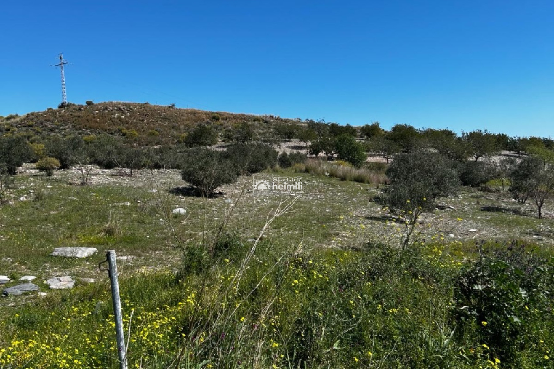 Videresalg - Finca-stil hus -
Cartagena