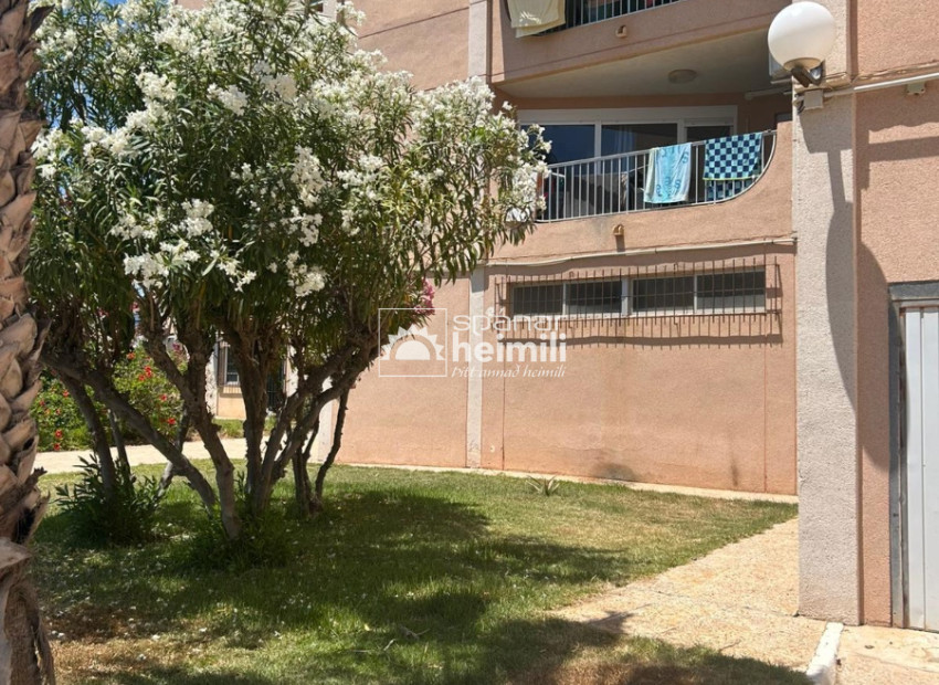 Videresalg - Lejlighed -
La Zenia