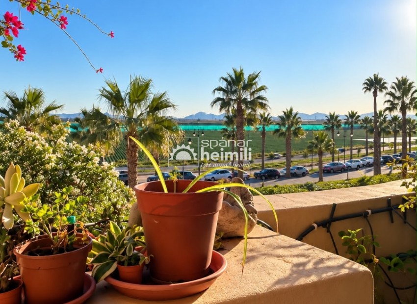 Videresalg - Lejlighed -
Mar Menor Golf Resort