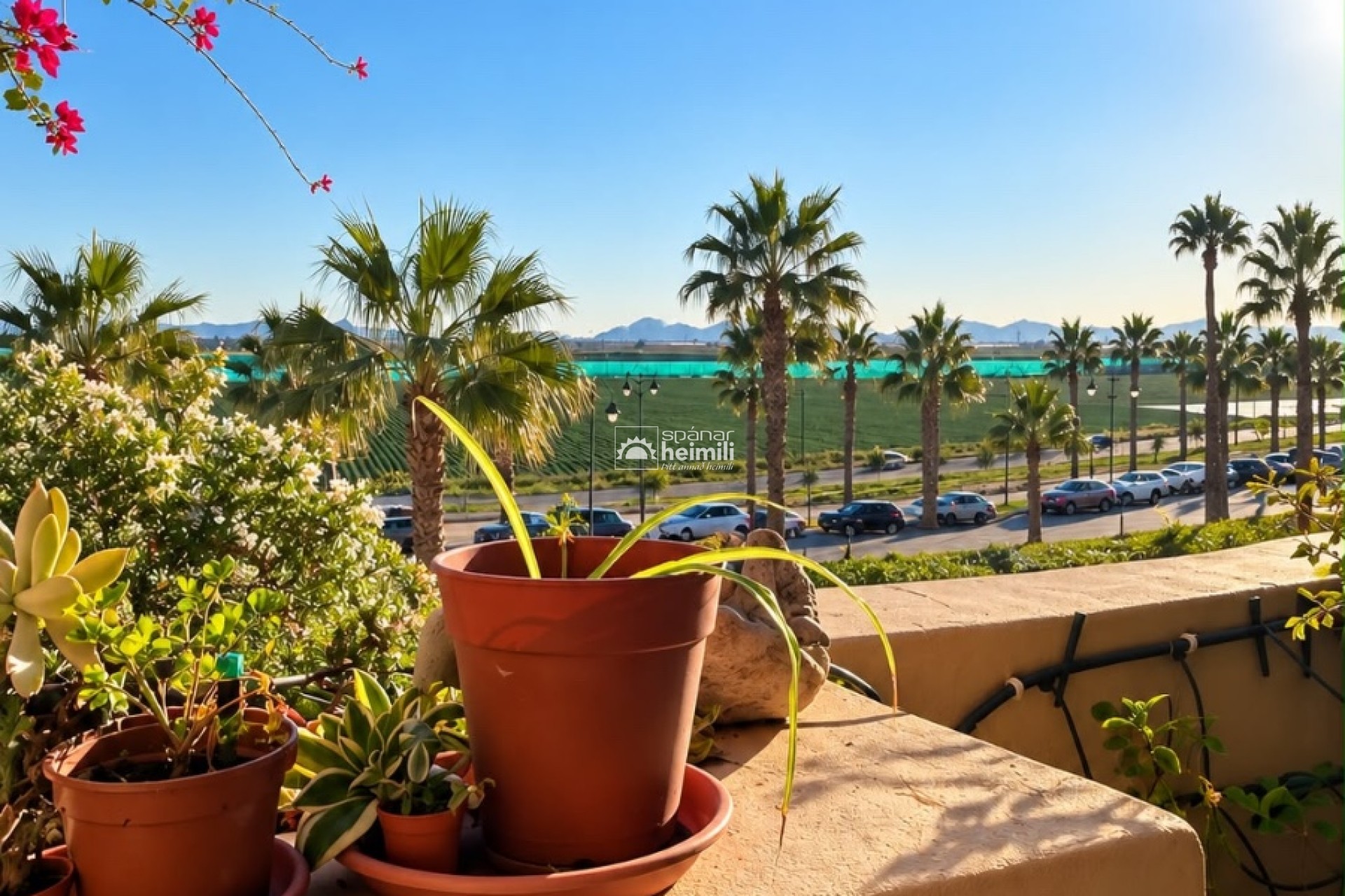 Videresalg - Lejlighed -
Mar Menor Golf Resort