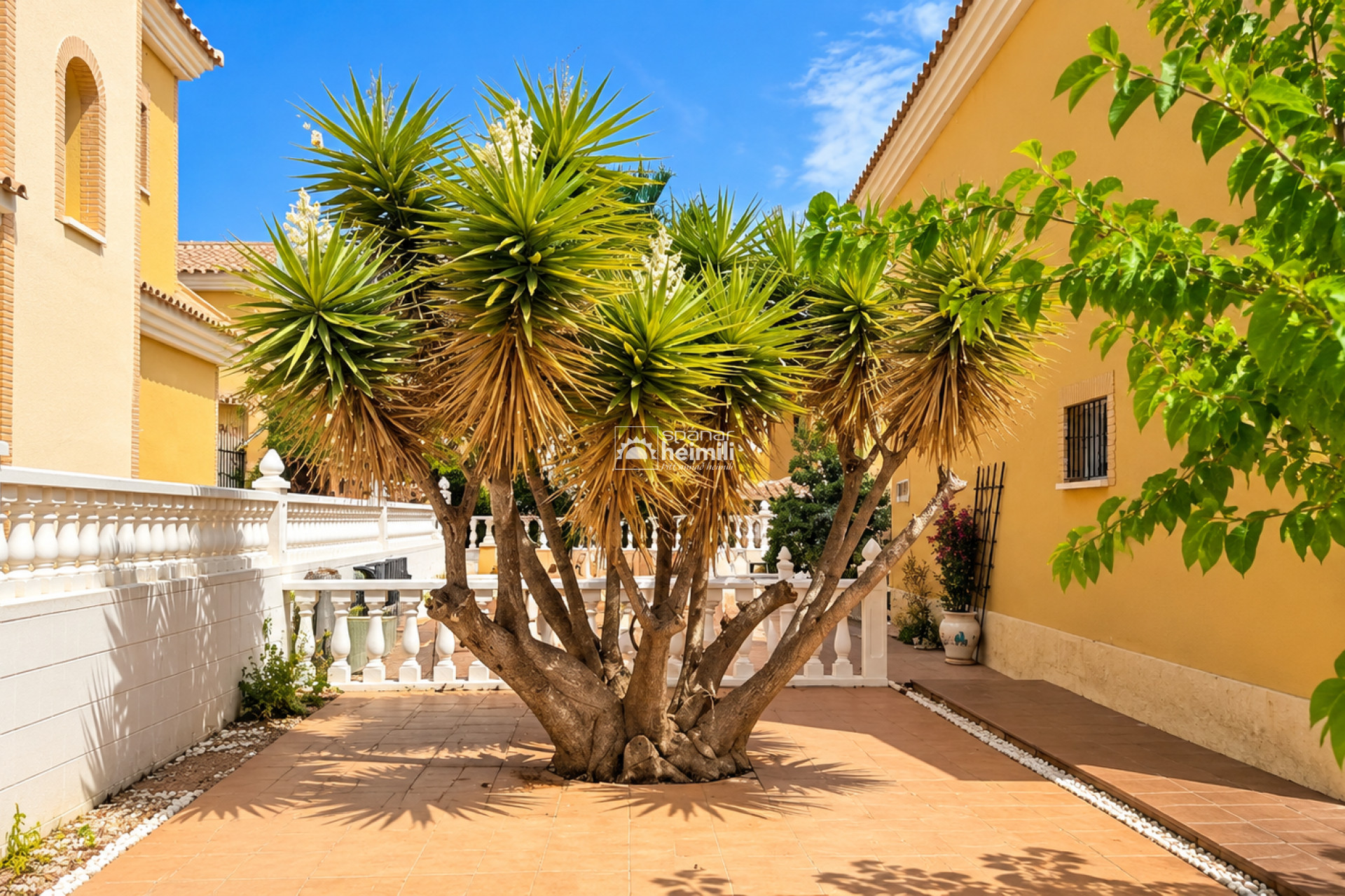 Videresalg - Villa -
Algorfa/Los Montesinos