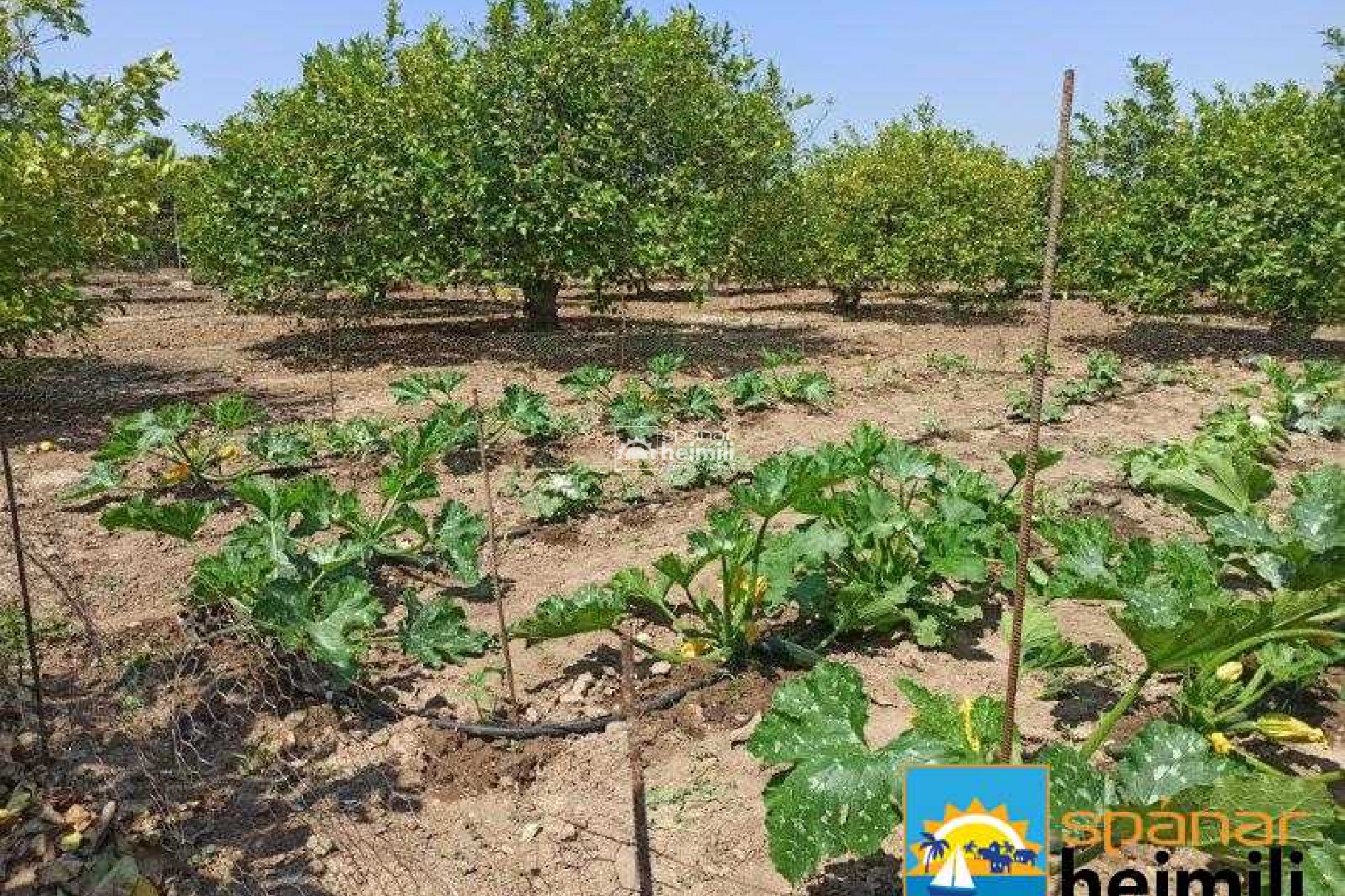 Videresalg - Villa -
San Miguel