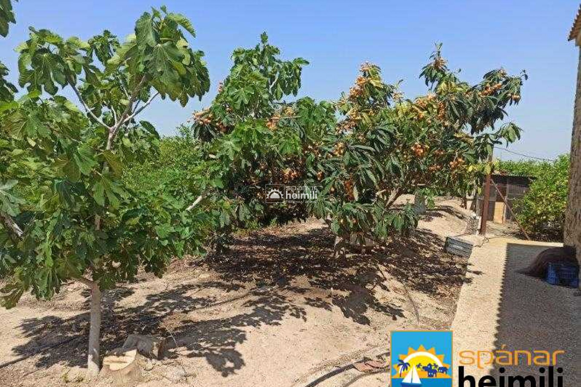 Videresalg - Villa -
San Miguel