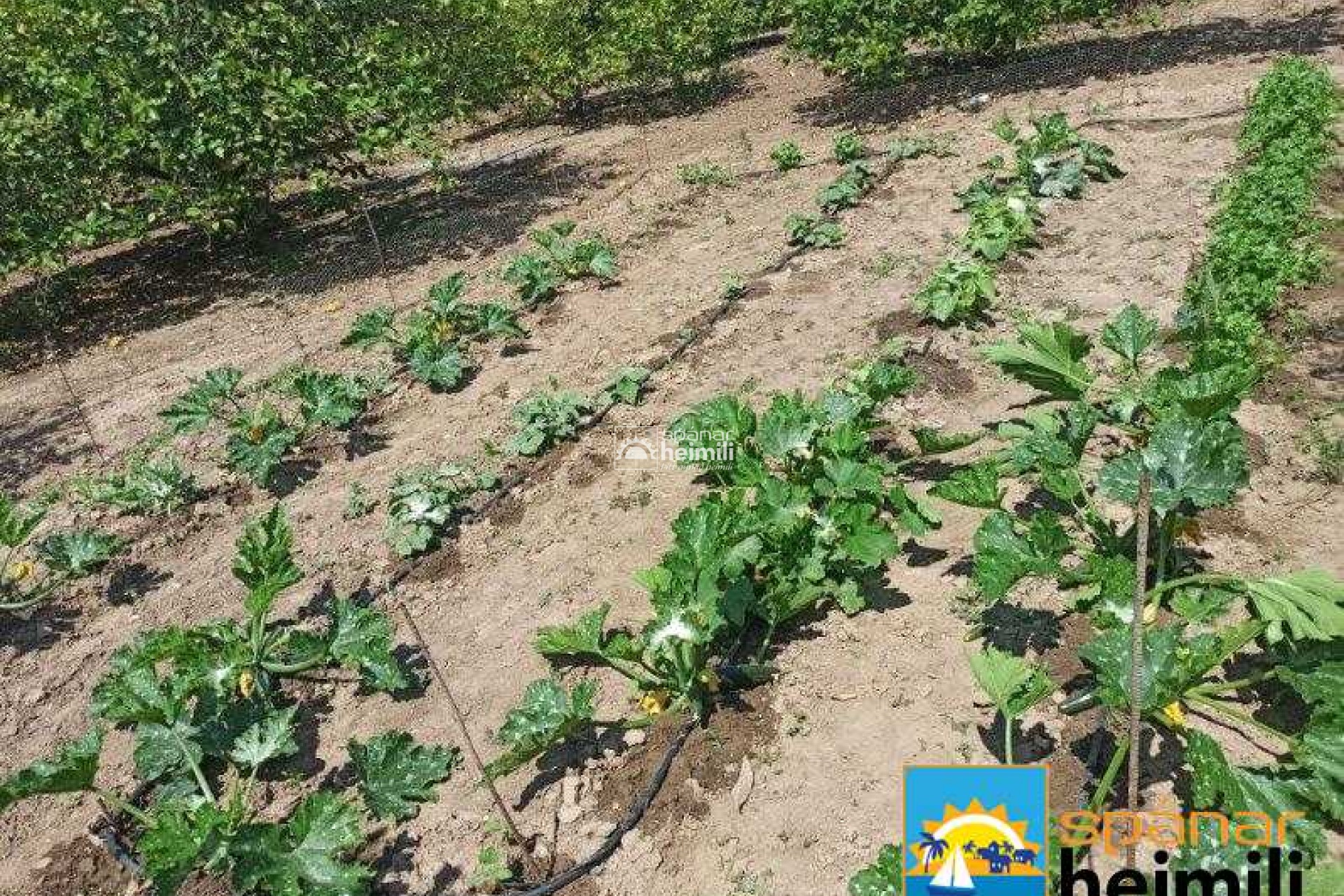 Videresalg - Villa -
San Miguel