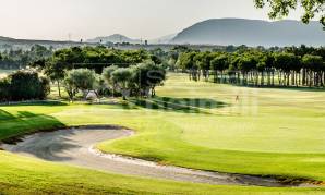 El Plantio Golf Resort