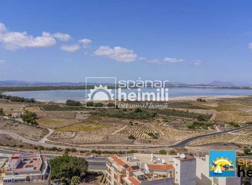 Revente - Appartement -
Torrevieja