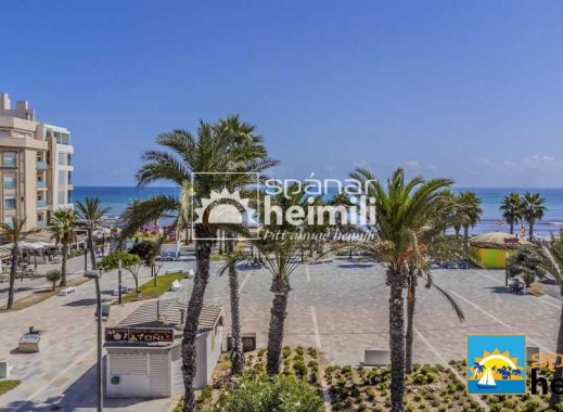 Revente - Appartement -
Torrevieja