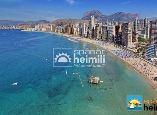 Obra nueva - Apartamento -
Benidorm