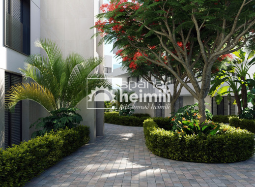 Nouvelle construction - Appartement -
Santa Rosalia