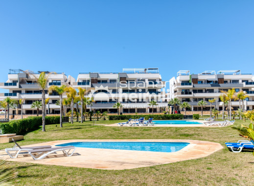 Reventa - Apartamento -
Playa flamenca