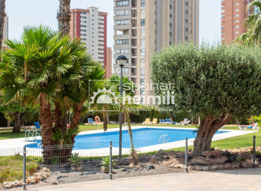 Endursala - Þakíbúðir -
Benidorm